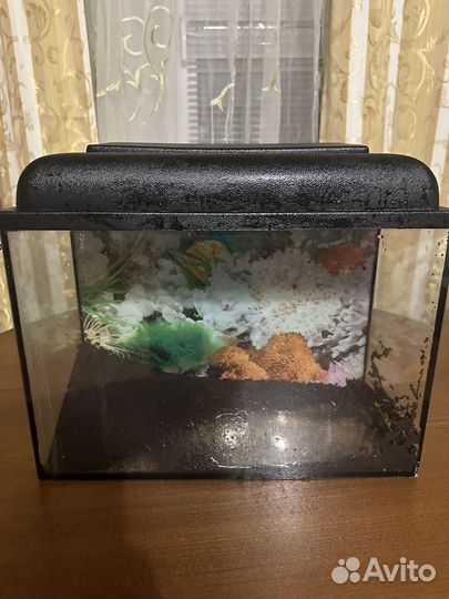 Аквариум