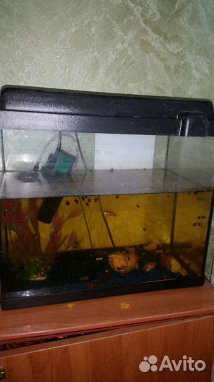 Аквариум