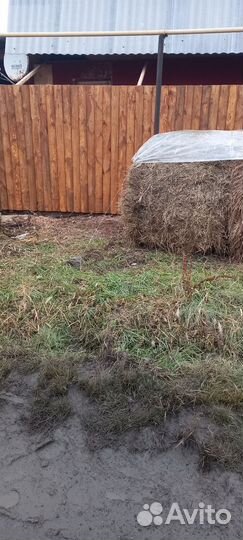 Сено в тюках и мешках