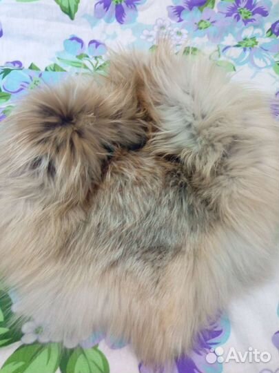 Меховой воротник лиса чернобурка