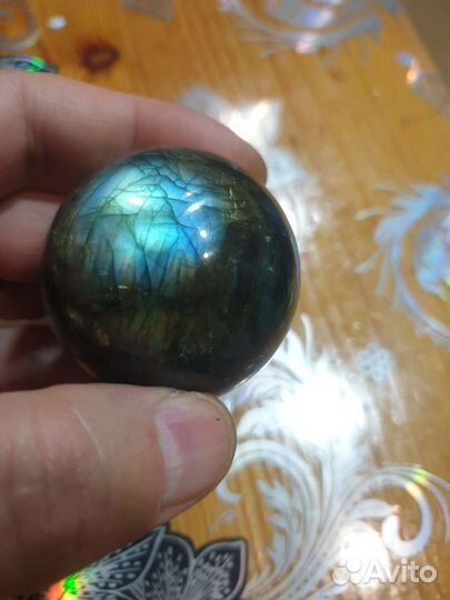 Лабрадор природный