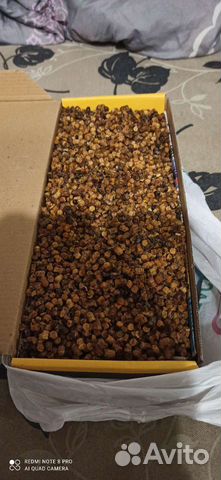 Перга пчелиная