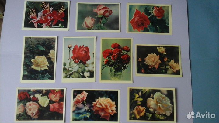 Открытки СССР 1962-1965 г