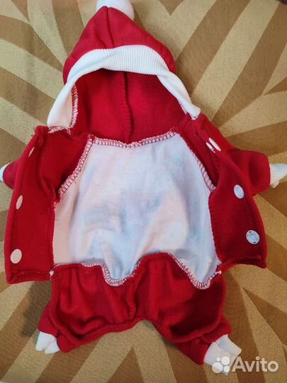 Одежда для маленьких собак