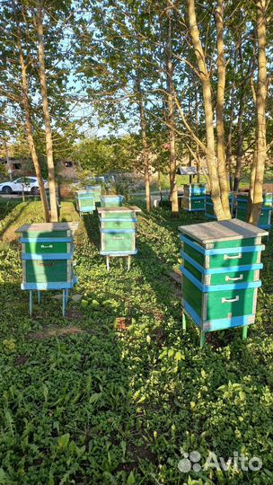 Улей для пчел бу