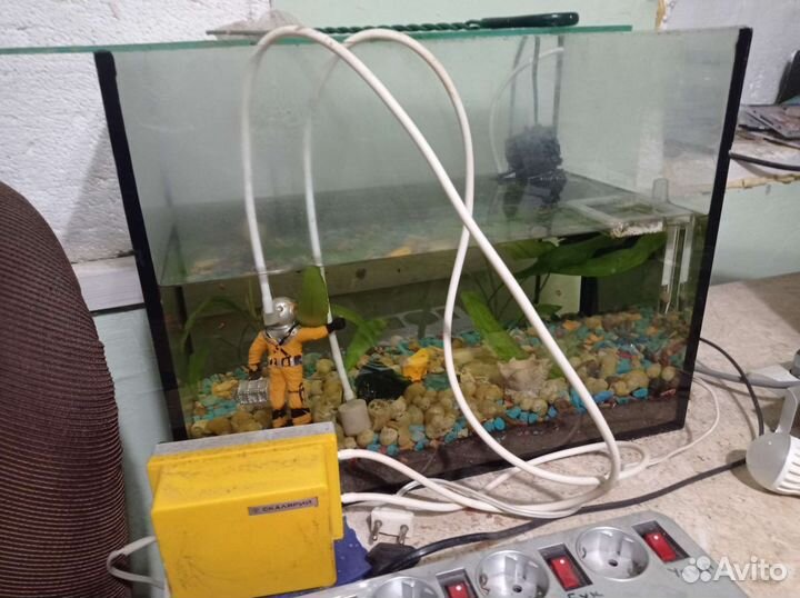 Аквариум
