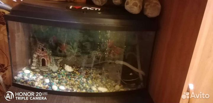 Аквариум