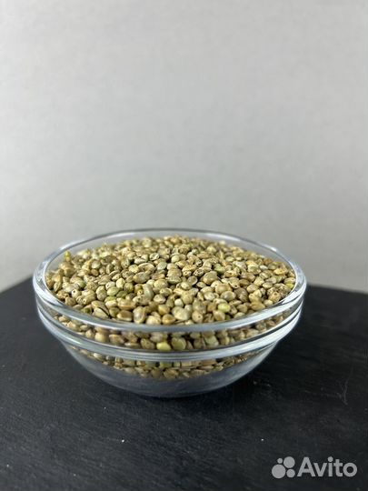 Семена конопли