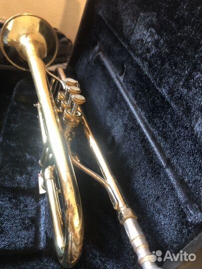 Труба blessing ml 1