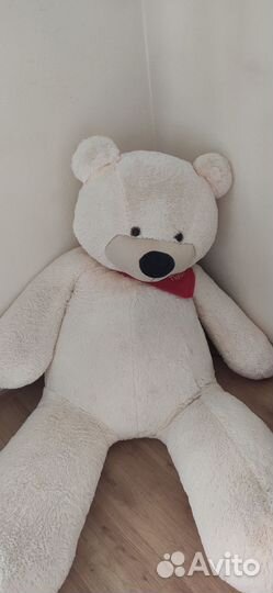 Мишка Тихон