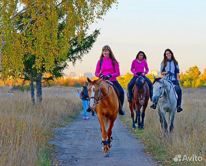 Катание на лошадях