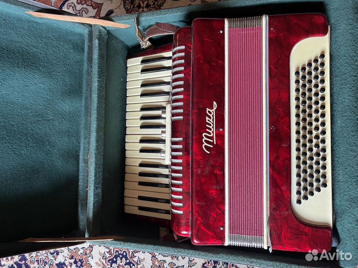 Акардион муза 1960 года