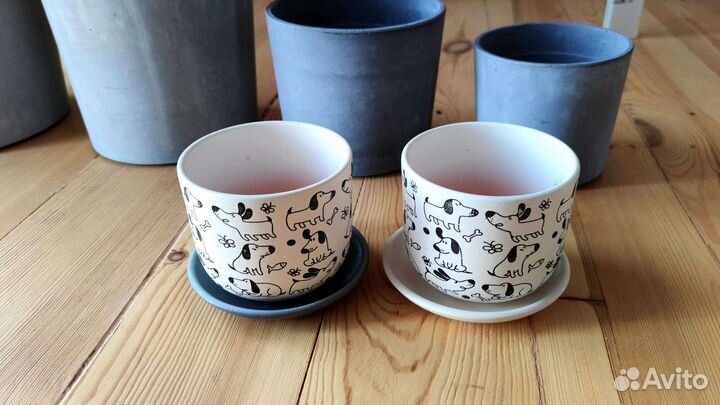 Grasmaro, кашпо Boysenbar, Рундминта, Витлок