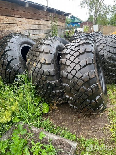 Шины ви 203 ураган