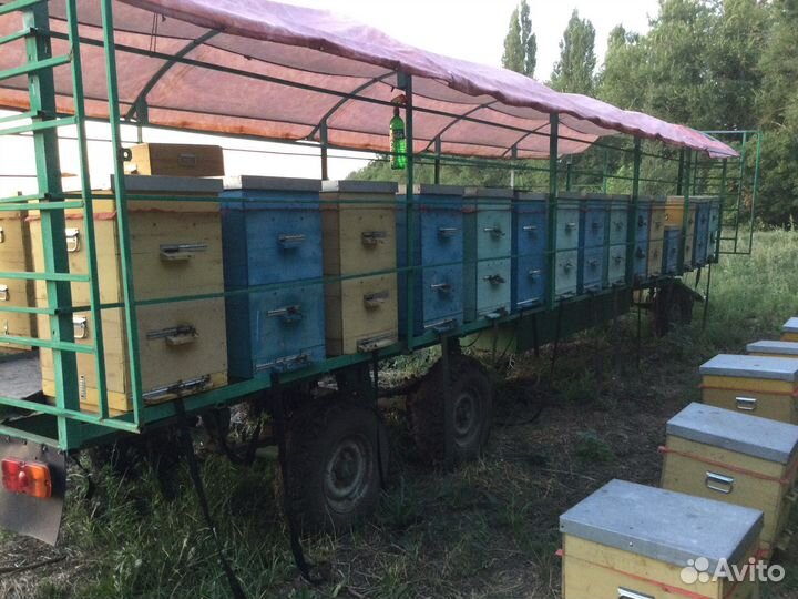 Пчелоприцеп