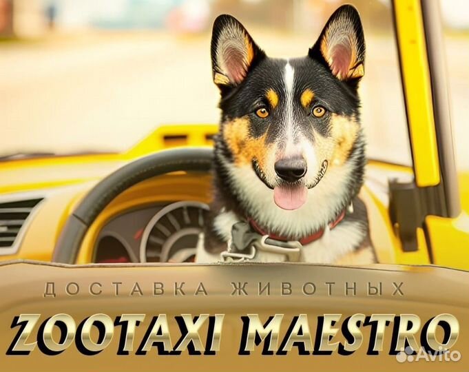 Доставка животных по РФ