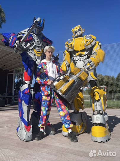 Аниматор, аниматоры на праздник