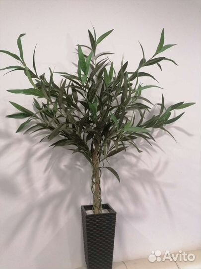 Искусственные деревья/ Эвкалипт