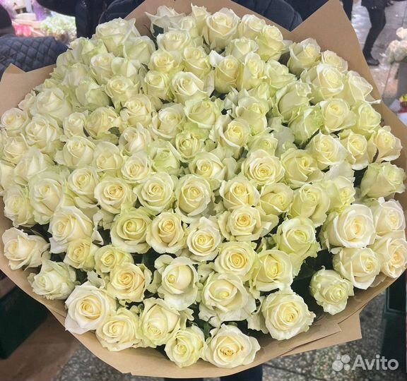 Доставка цветов / Цветы / розы