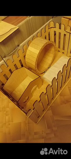 Африканский карликовый еж