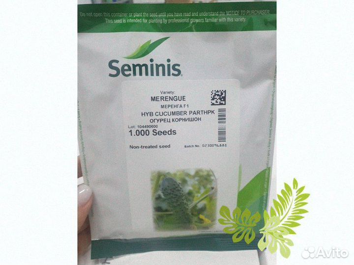 Семена Огурец Меренга гибрид 1000с Семинис