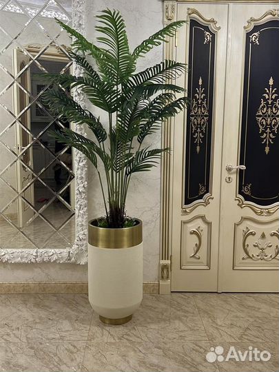 Цветы и деревья