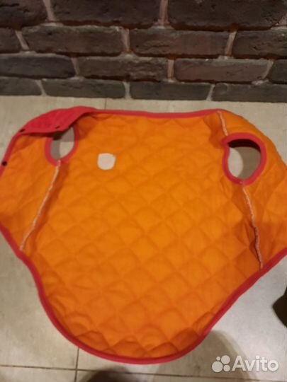 Одежда для собак