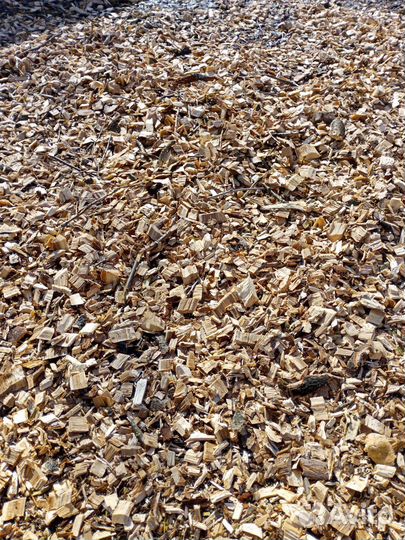 Измельчитель веток аренда