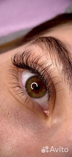 Наращивание ресниц на дому Тюмень