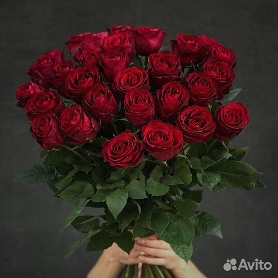 Цветы 51 роза