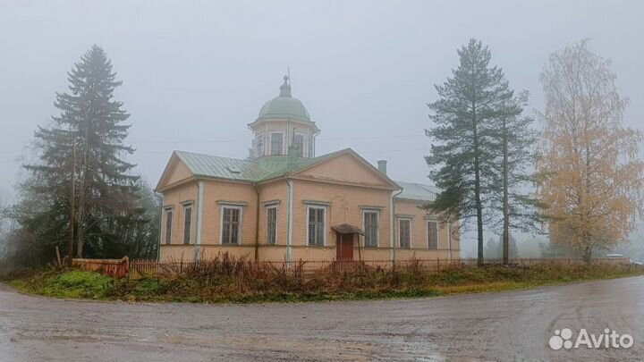 Ольховая глушь