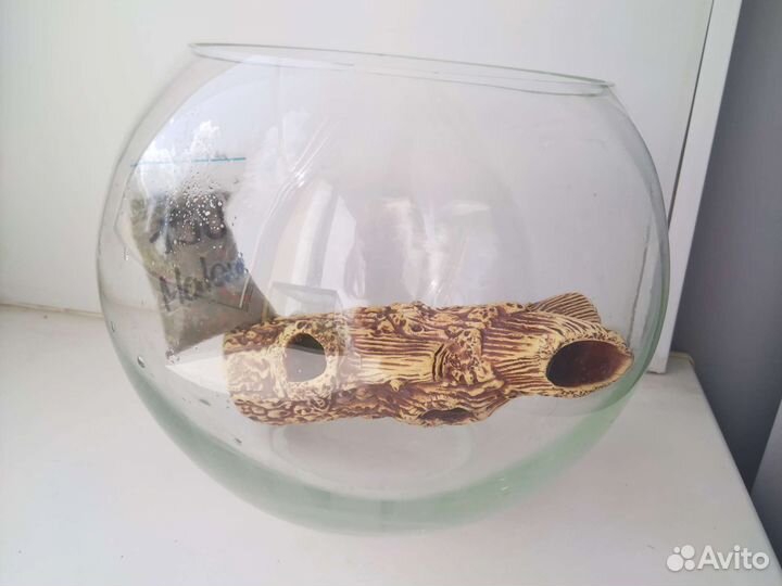 Аквариумные рыбки