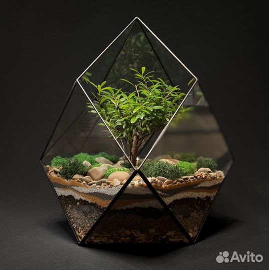 Флорариум 