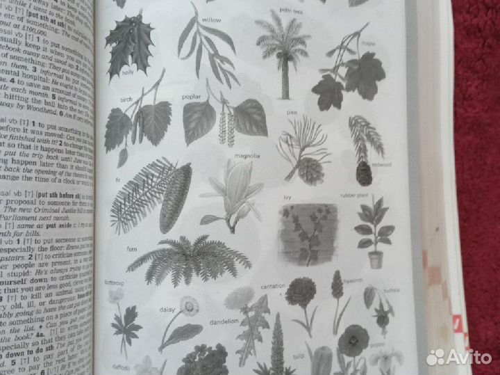 Англо английский словарь macmillan