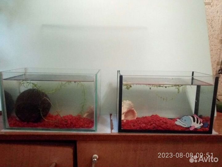 Аквариум 5 л