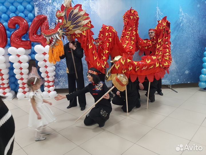 Китайский дракон 12 м