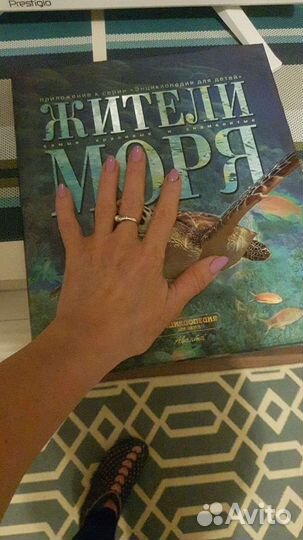 Книга жители моря