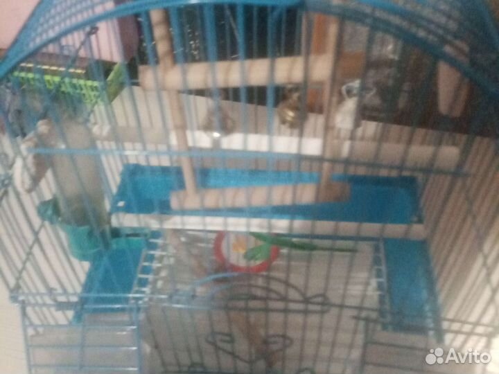 Клетка для попугая бу