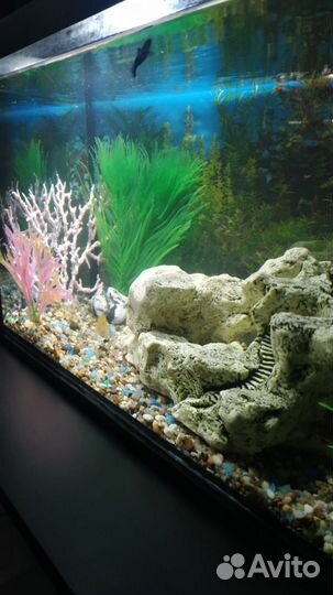 Аквариум с тумбой