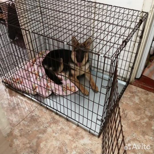 Клетка для собак новая