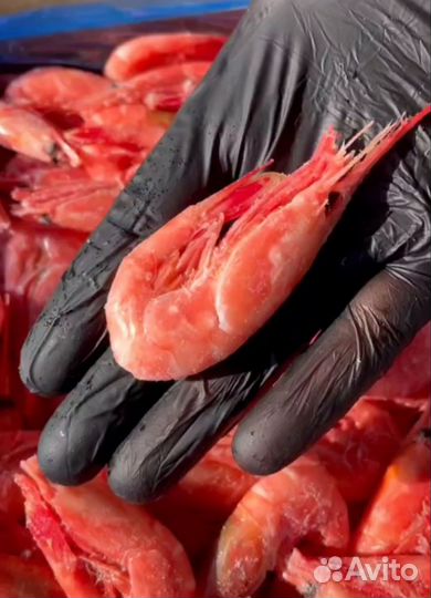 Икра Красная. Креветка Северная