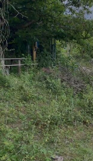 Участок 5 сот. (ИЖС)