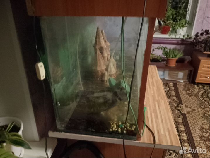 Аквариум