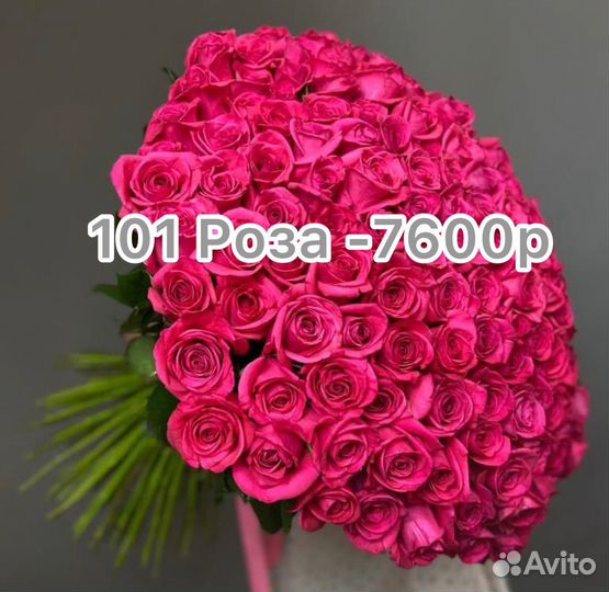 101 роза букет свежих роз. Большие букеты