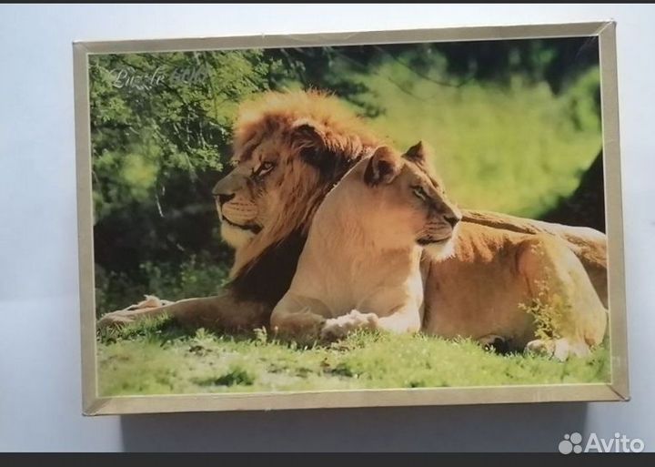 Пвзлы 600 деталей