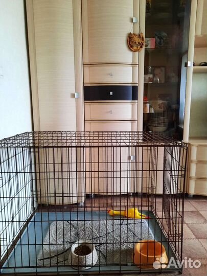 Клетку для крупной собаки