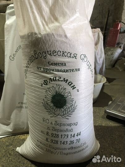 Семена горчицы белой Руслана