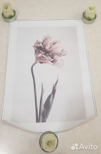 Картины / постеры