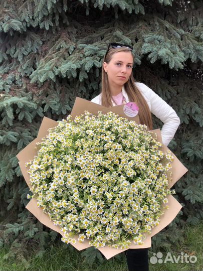 Букет ромашек