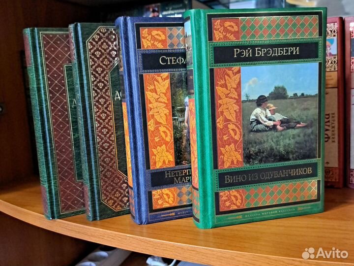 Книги Достоевский, Цвейг, Брэдбери